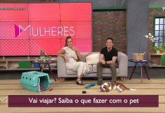 Dicas de viagem para você com seu cão –  TV Gazeta