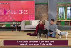 Dicas para ter sucesso na adoção de um cão – TV Gazeta