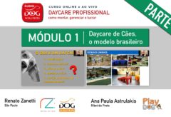 Módulo 1 – Daycare de Cães, o modelo brasileiro (parte 1)