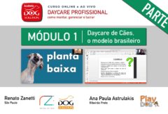 Módulo 1 – Daycare de Cães, o modelo brasileiro (parte 2)