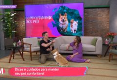 Plantão de dúvidas sobre seu cão – TV Gazeta